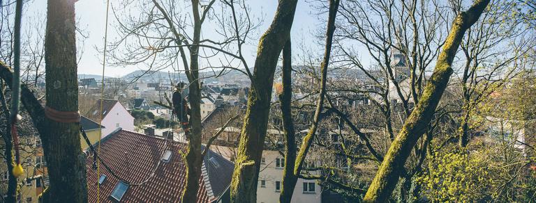 Oben angekommen lassen wir einmal den Blick am Horizont entlang schweifen, bevor wir mit der Arbeit im Baum beginnen. Hier sind wir in Wuppertal Barmen unterwegs.
